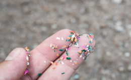 Che ne sai delle microplastiche e dei batteri che resistono agli antibiotici?