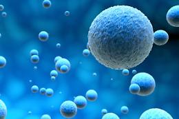Alla scoperta del microbioma