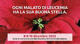 L'Ail di Matera torna nelle piazze con la tradizionale manifestazione delle Stelle di Natale