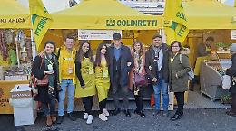  Villaggio contadino di Natale della Coldiretti: a Napoli il meglio dei prodotti lucani 