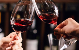 Vinitaly e Sol & Agrifood di Verona: le aziende lucane scaldano i motori 