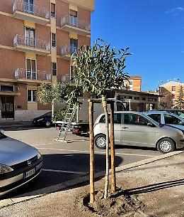 Quarta edizione de "L'Atlante delle Foreste", buone le performance della Basilicata 