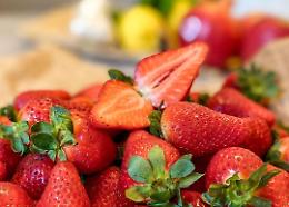 Rafforzamento del sistema ortofrutticolo lucano: da Via Verrastro 9,7 milioni di euro 