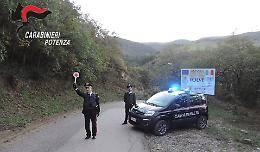 Violenza domestica a Tolve: intervento tempestivo dei Carabinieri, arrestato un 30enne