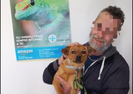 Gianrocco adotta Benny, il cane che aveva investito: un bel gesto di amore e di responsabilità