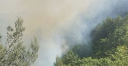 Gargano in fiamme: Carpino brucia