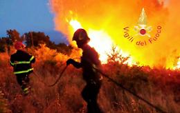 L'incendio del Pollino: l'ennesima profonda ferita ad un prezioso ecosistema italiano