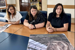 «I veri foggiani si vedono al momento del bisogno»... di Bau