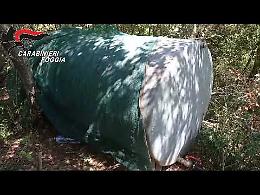 Piantagione di cannabis da 2milioni di euro scoperta dai Carabinieri a San Nicandro Garganico: 3 arresti