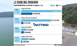 Se Occhito piange, le altre non ridono: la situazione drammatica delle dighe in provincia di Foggia