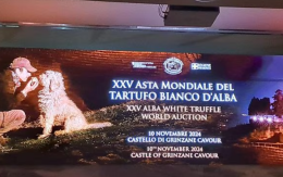 Il tartufo di Basilicata alla fiera di Alba, l'impegno di Cicala: "Adeguare il quadro normativo alle rinnovate esigenze del comparto"