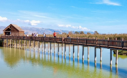 Chi ha rubato la casa alle farfalle nell'oasi della Laguna del Re?