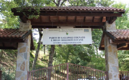 Per la nomina del Presidente dell'Ente Parco di Gallipoli Cognato e delle Piccole Dolomiti Lucane pressing di Legambiente