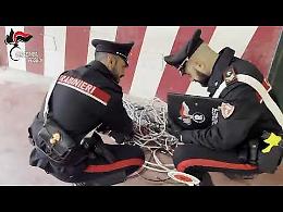 Quattro arresti per furto e ricettazione a Cerignola da parte dei Carabinieri
