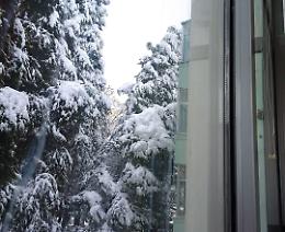 Maltempo, in Basilicata la situazione in miglioramento. A Potenza emergenza alberi