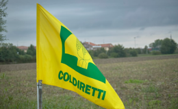 Agricoltura lucana in seria difficoltà: Coldiretti in pressing su Cicala