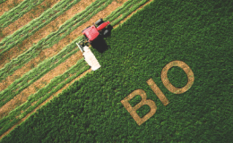 Agricoltura biologica: Basilicata tra le regioni top 