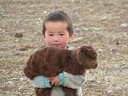 Viaggio in Mongolia: le esperienze imperdibili tra città e steppe