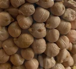 Da "A' Ssònzə" di Anzi, al cece bianco di Tricarico: 8 eccellenze agroalimentari lucane entrano nell'elenco nazionale Pat 