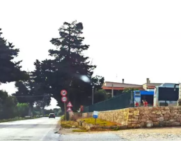Ritrovati a Lavello, in terra lucana, i tre autobus rubati ad Ostuni nel deposito Stp