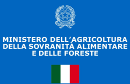 La Podolica, eccellenza lucana, conquista il Masaf: riconoscimento ufficiale e fondi in arrivo