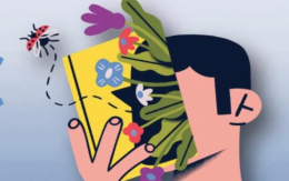 A Stornara fiorisce "Il Maggio dei Libri"