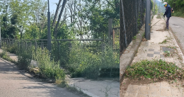 Potenza, decoro urbano fai da te: Amministrazione cercasi, ci pensano i residenti di Via Monte Cocuzzo 