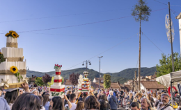 Accettura, la fede che sfida i secoli: tutto pronto per il culto arboreo del Maggio