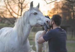 Stress, performance e integrazione naturale: i benefici dei mangimi complementari per i cavalli