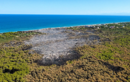 Incendio a Metaponto, distrutti quasi 300 ettari