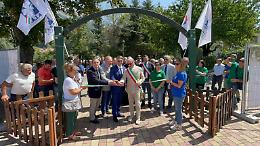 La Basilicata difende la 'sua' podolica: Cicala protagonista alla Mostra Nazionale del Lago Sirino
