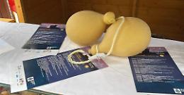 Caciocavallo Podolico: il marchio Dop prende forma, attesi i tempi ministeriali