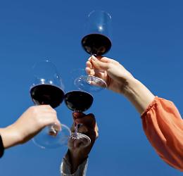 In Basilicata il vino batte le avversità, vendemmia 2025 di qualità