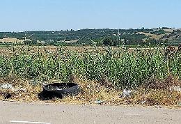 Strada provinciale 3 Matera - Metaponto? Una discarica a cielo aperto