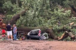 Inchiesta della Procura di Matera sulla caduta dell'albero che ha ucciso un ragazzo, situazione critica per la 19enne che era nell'auto