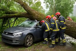 Tragedia di Ferragosto a Ferrandina: una quercia colpita da un fulmine si abbatte su di un'auto con 4 ragazzi, uno è morto.