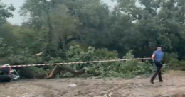 Ferrandina, l'albero su un'auto a Ferragosto: la ragazza ferita in prognosi riservata a Bari