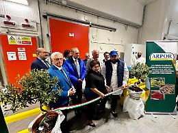 Agroindustria, la Basilicata guarda al futuro: inaugurata a Policoro la maxi cella refrigerata Arpor-Orogel