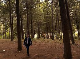 Foreste lucane, Cicala: “Con il nuovo Programma più tutela, lavoro e sviluppo sostenibile”