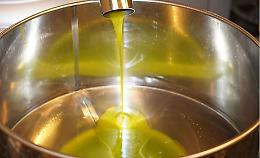 Olio extravergine, la Basilicata torna a crescere: più 37 per cento rispetto al 2024