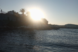 L'isola verde