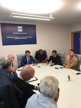 Tavolo Verde e Forestazione, Cicala: “Dialogo costante per risposte efficaci”