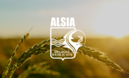 Alsia, il punto del nuovo direttore Blasi 