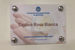 Violenza, a Matera nasce il “Codice Rosa Bianca”: un accesso sicuro per chi subisce abusi