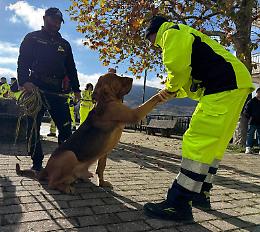Inaugurato il Centro di monitoraggio ambientale dedicato a don Marsico: il Gruppo Lucano apre la nuova era della protezione civile
