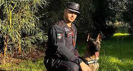 Esche avvelenate per gli animali in Basilicata, il pastore Fenrir fiuta la trappola inviata a Foggia per le analisi