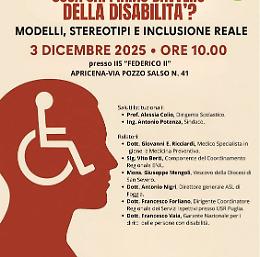 'Cosa sappiamo davvero sulla disabilità?'