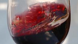 Coldiretti Basilicata sul vino dealcolato: "S&igrave; al mercato, ma tuteliamo il valore culturale del prodotto"