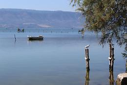 Un colpo nel silenzio del lago: carabiniere forestale di Formia, di 25 anni, si toglie la vita a Cagnano Varano