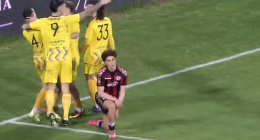 L'ennesima figuraccia del Foggia la porta la cicogna